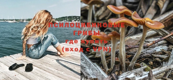 кокс Арсеньев