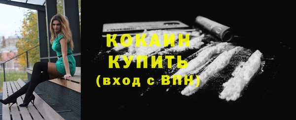 кокс Арсеньев