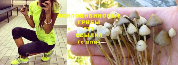 прущие крисы Аркадак
