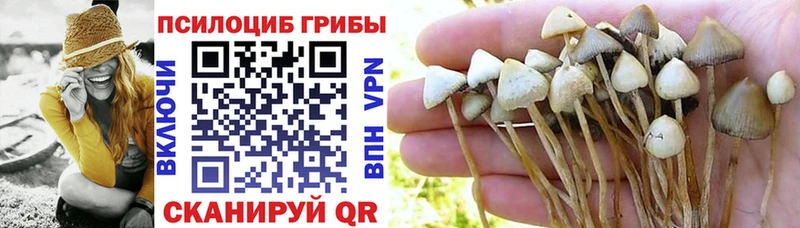 даркнет сайт  Новая Ляля  shop формула  Псилоцибиновые грибы MAGIC MUSHROOMS 